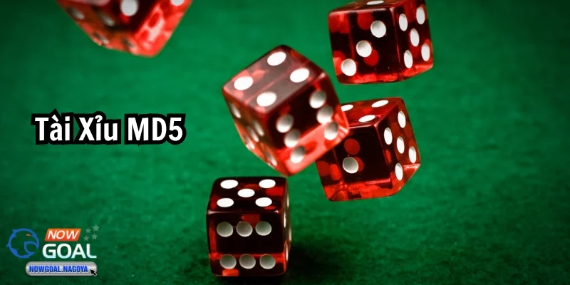 Tài xỉu MD5